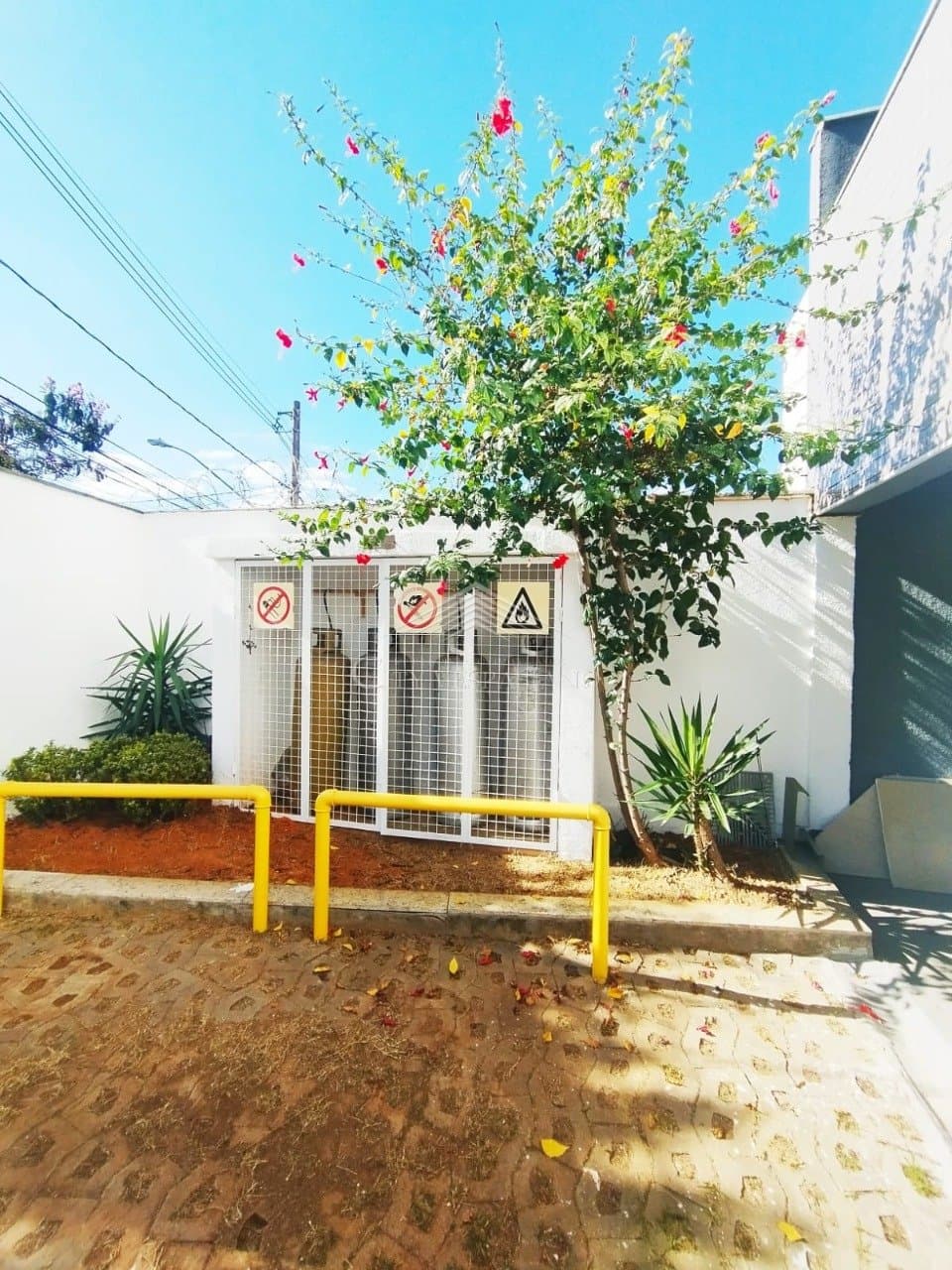 Imagem da propriedade 1411 2