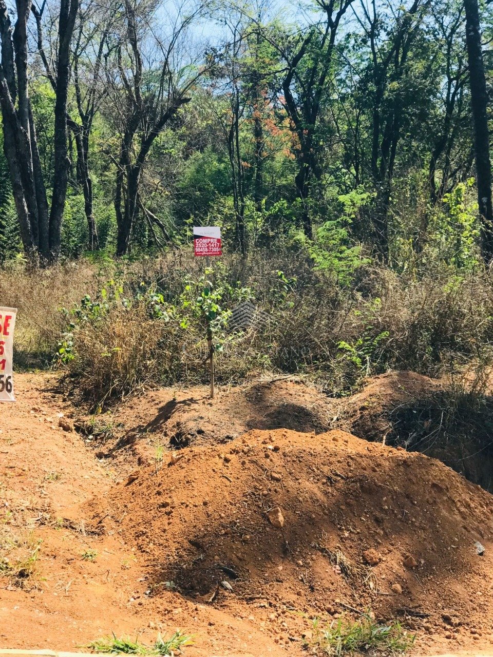 Terreno - Bernardo de Souza, Vespasiano - código 1173 - foto 3
