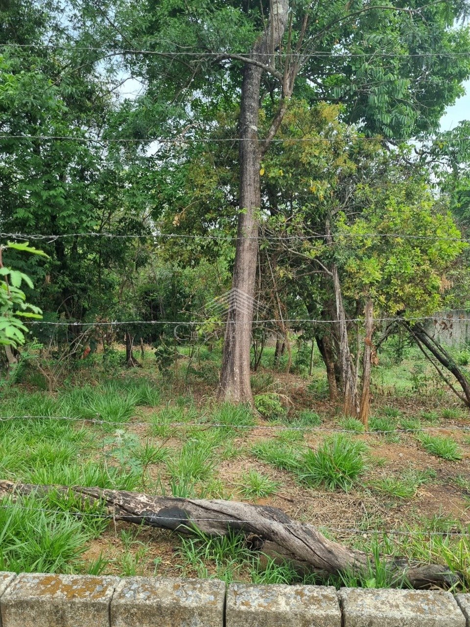 Terreno - Lagoa dos Mares, Confins - código 1158 - foto 6