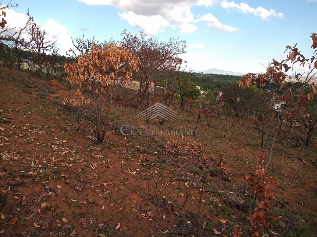 Terreno - Tavares, Confins - código 1326 - foto 5