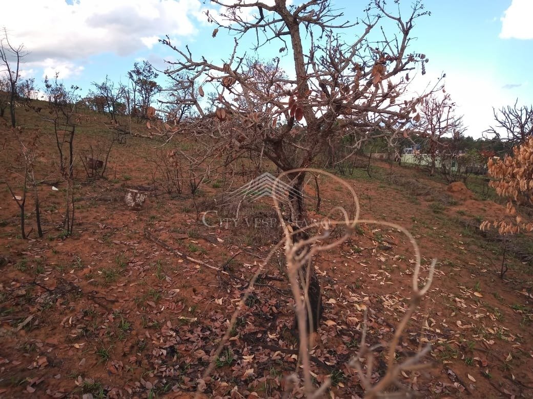 Terreno - Tavares, Confins - código 1326 - foto 6
