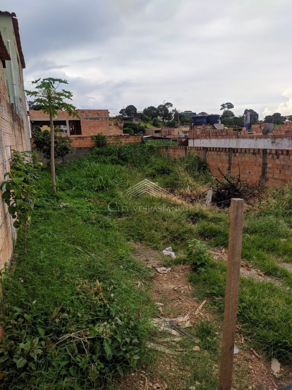 LOTE SERRA DOURADA VESPASIANO