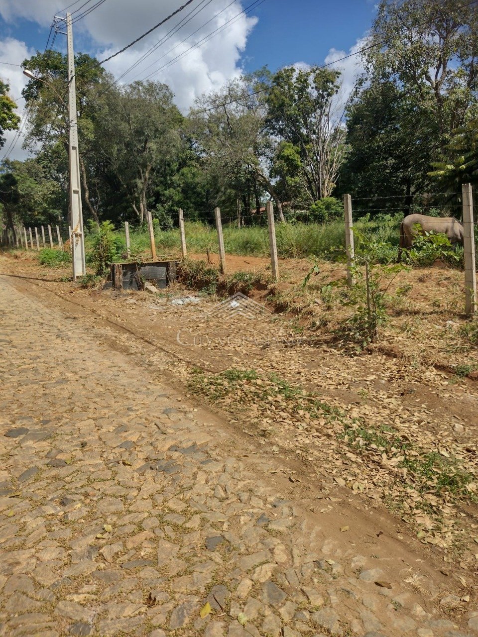 Terreno - Quintas dos ipes, São José da Lapa - código 1376 - foto 3