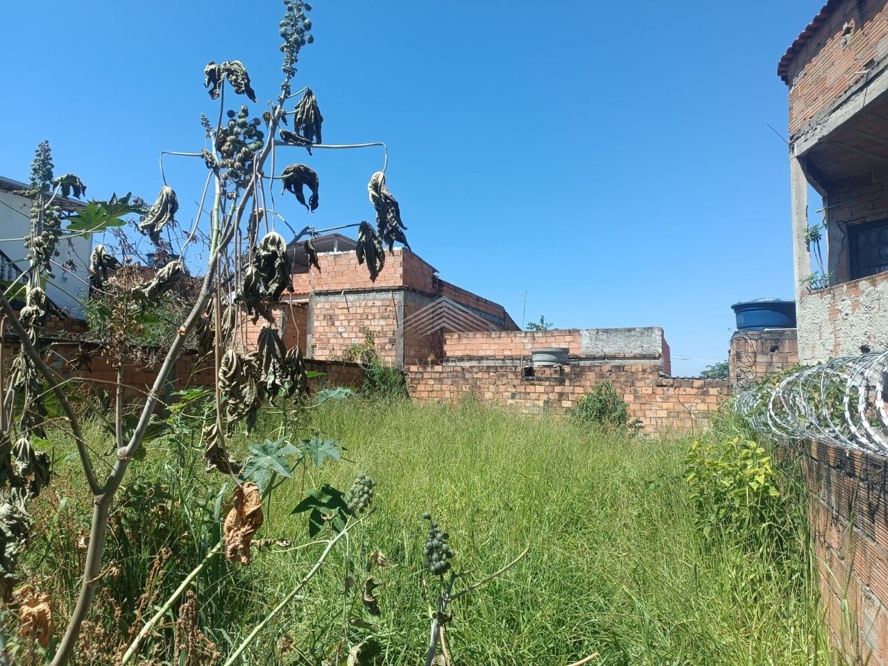 LOTE BAIRRO VIDA NOVA EM VESPASIANO