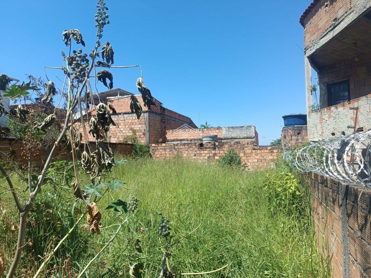 Terreno - Vida Nova, Vespasiano - código 1531 - foto 4
