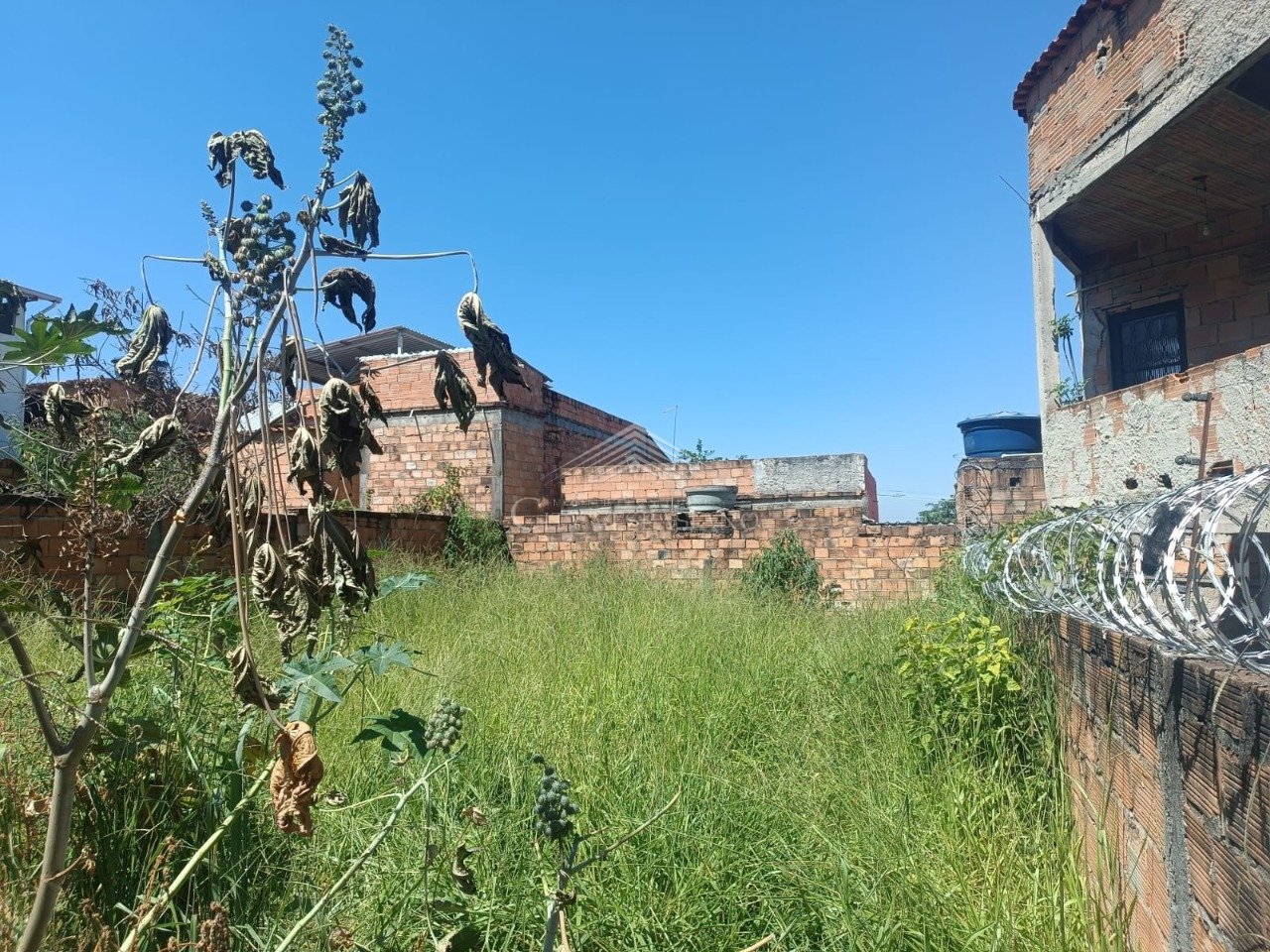 Terreno - Vida Nova, Vespasiano - código 1531 - foto 6