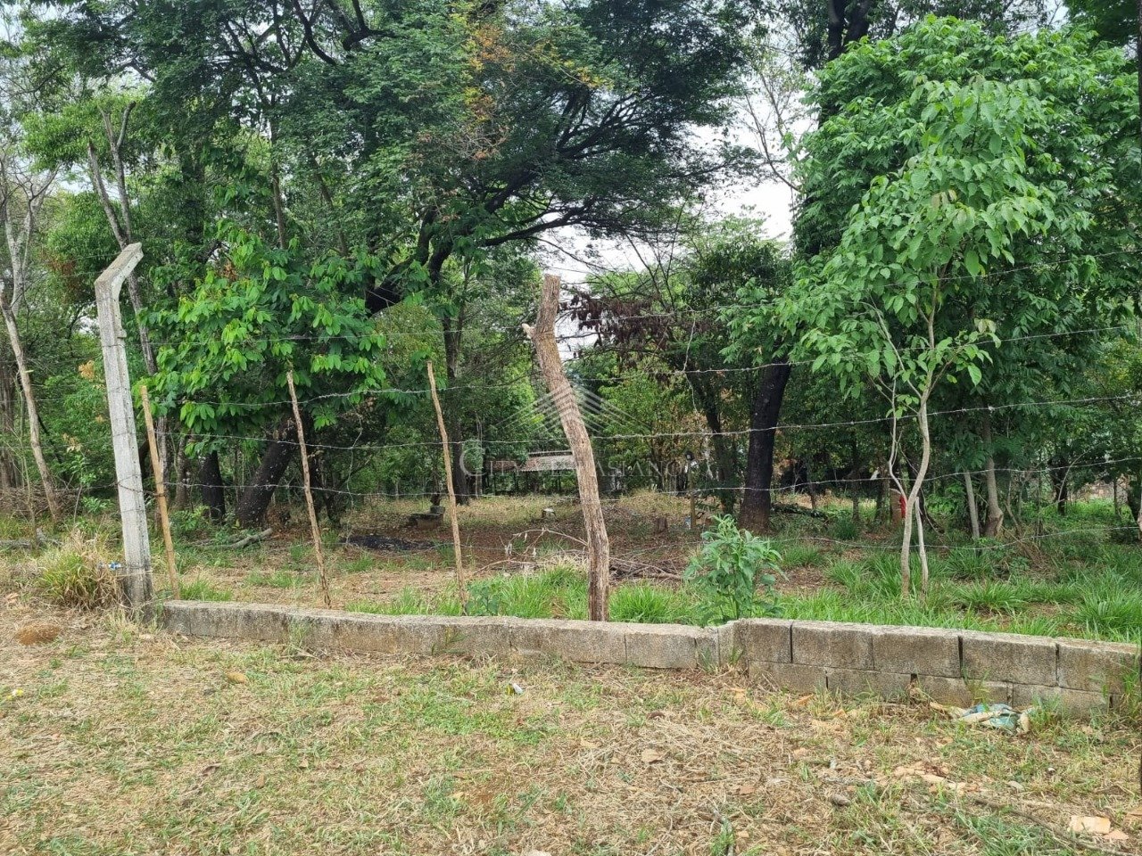 Terreno - Lagoa dos Mares, Confins - código 1157 - foto 4