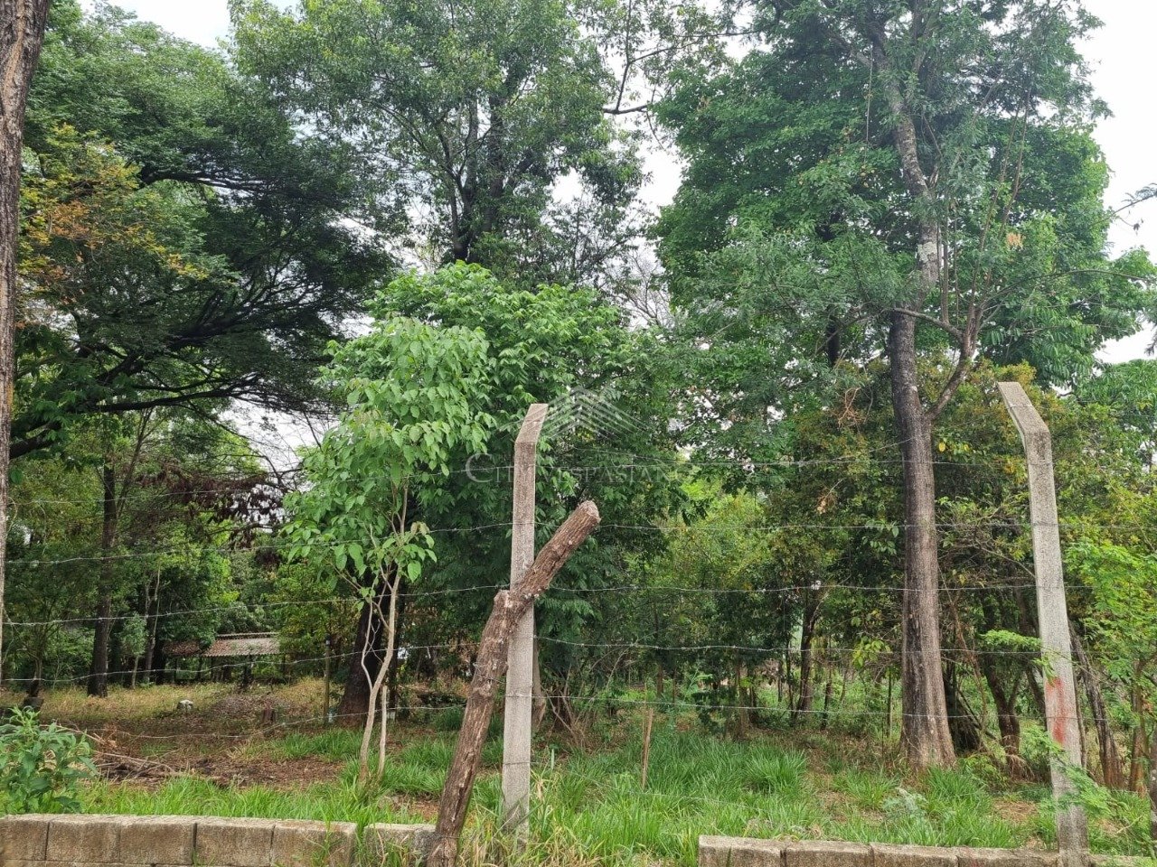 Terreno - Lagoa dos Mares, Confins - código 1157 - foto 5