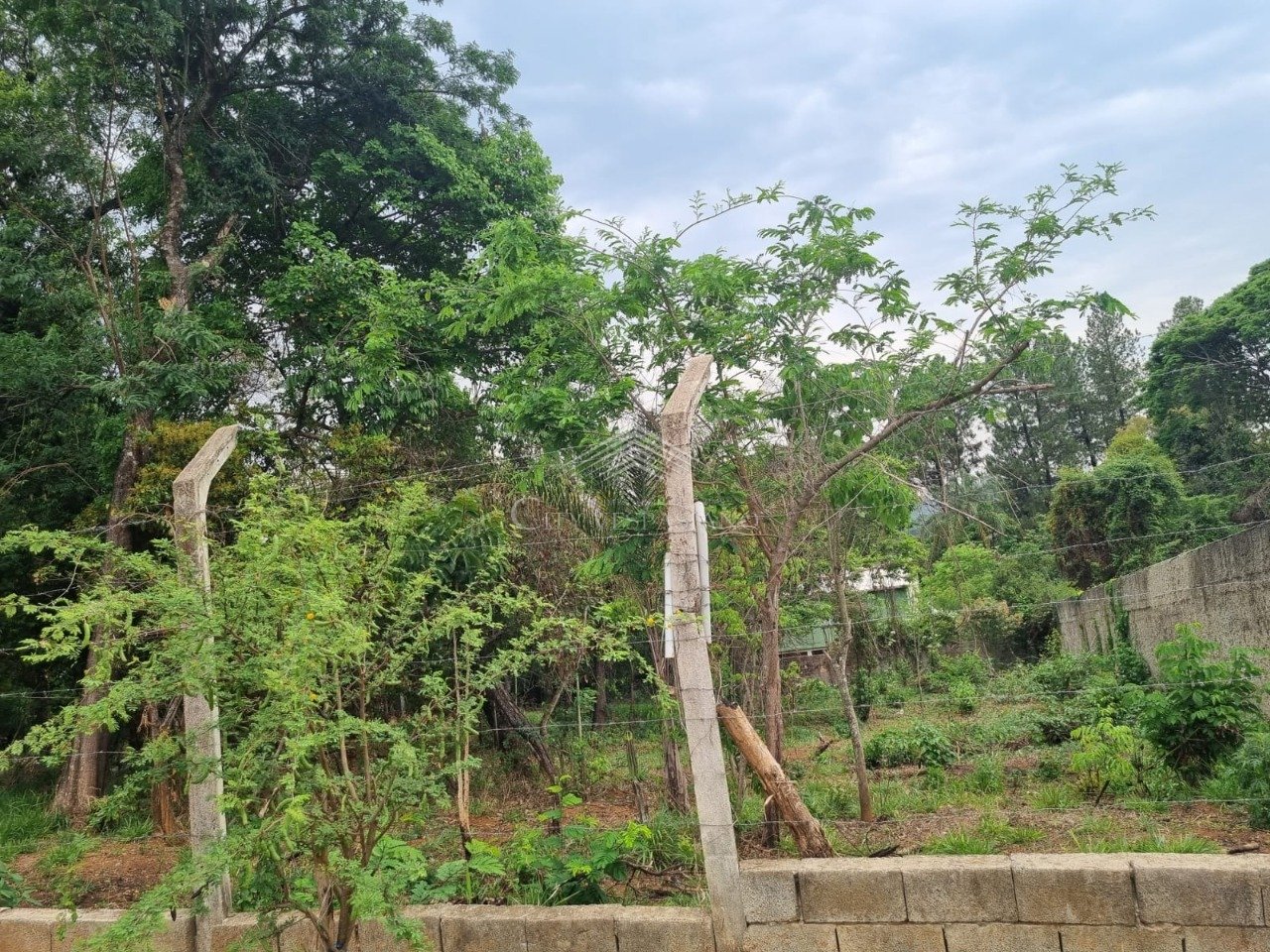 Terreno - Lagoa dos Mares, Confins - código 1157 - foto 8