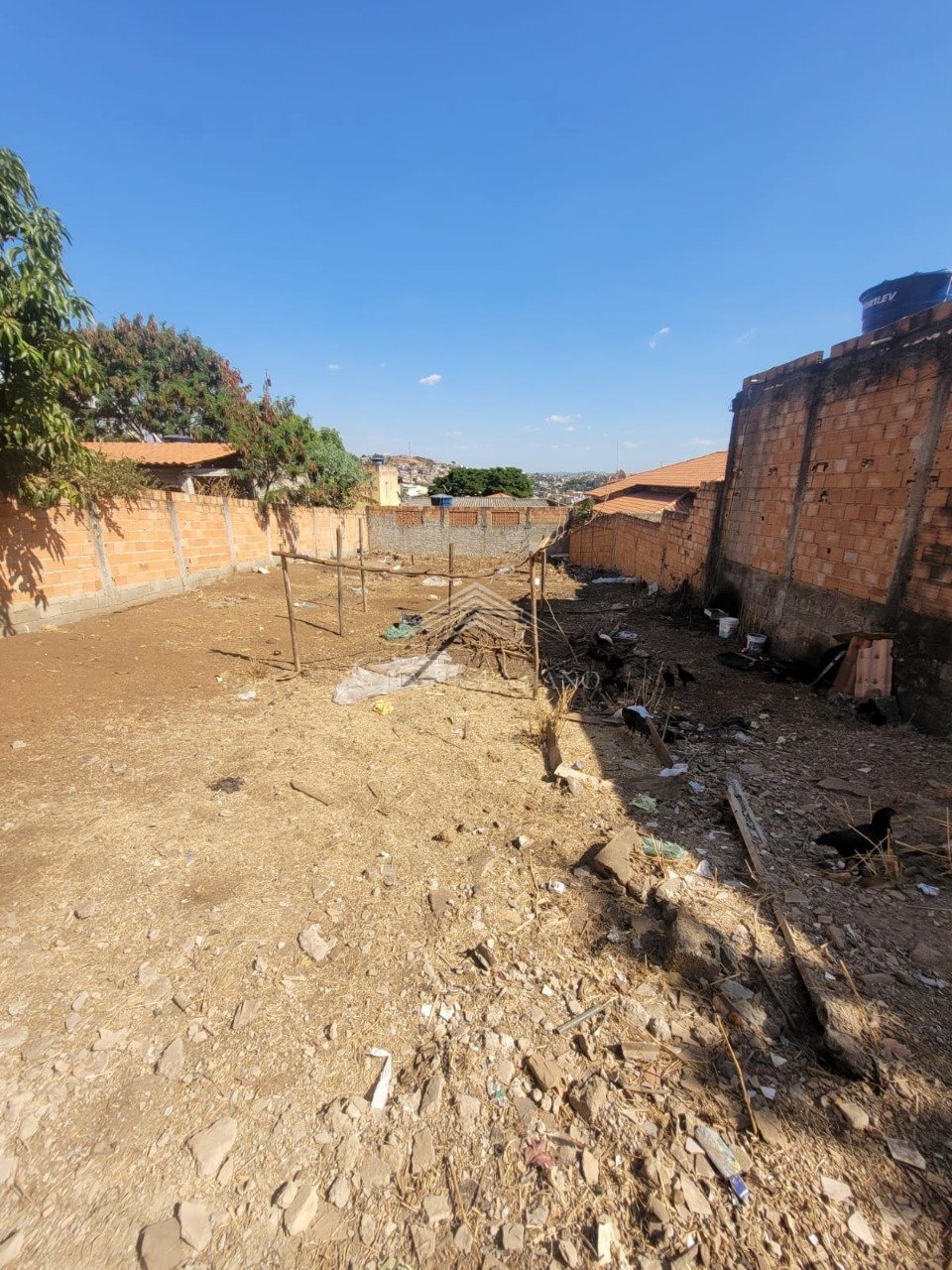 LOTE SERRA DOURADA VESPASIANO
