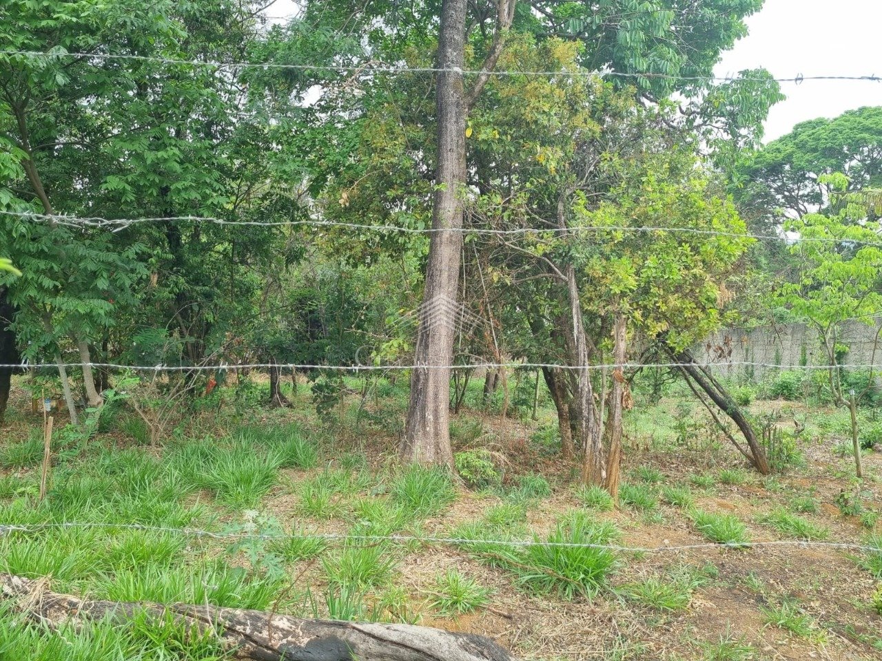 TERRENO LAGOA DOS MARES CONFINS