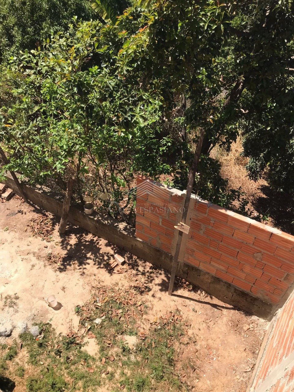 Casa - 3 quartos - Vila Esportiva, Vespasiano - código 1145 - foto 6