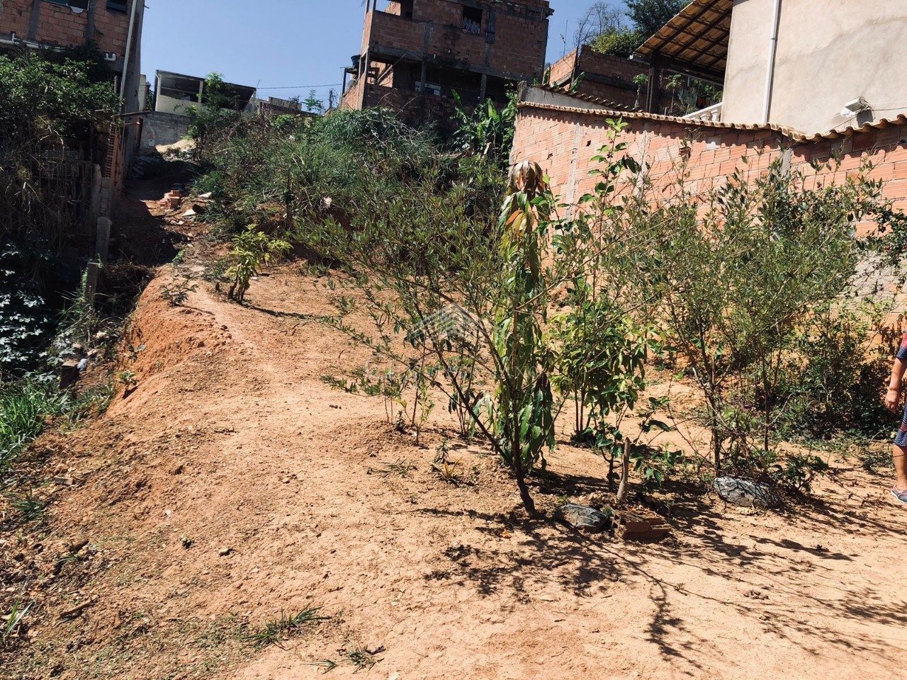 LOTE SERRA DOURADA VESPASIANO