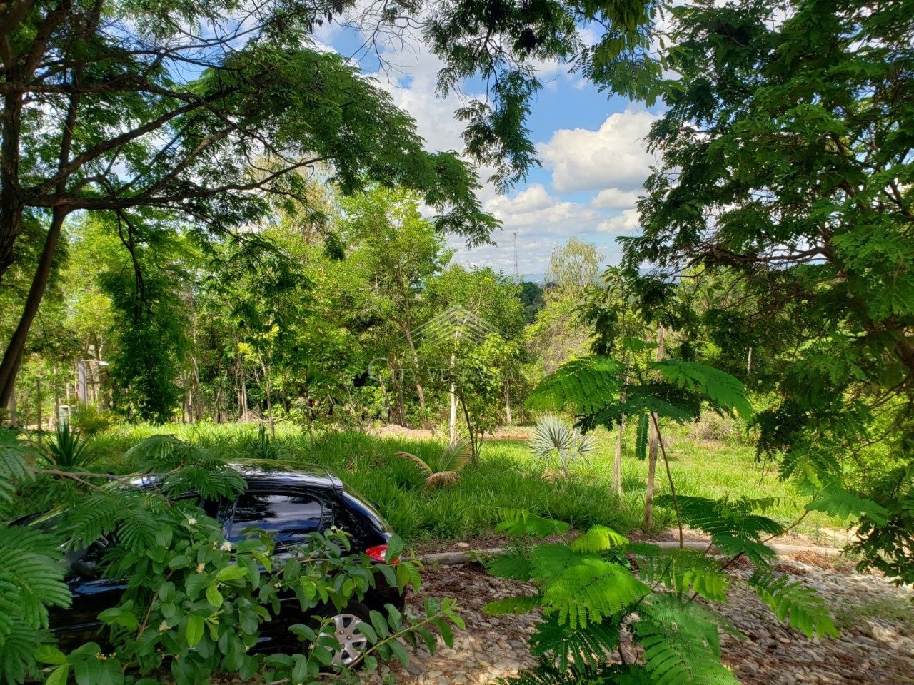 Terreno - INACIA DE CARVALHO, São José da Lapa - código 1302 - foto 5