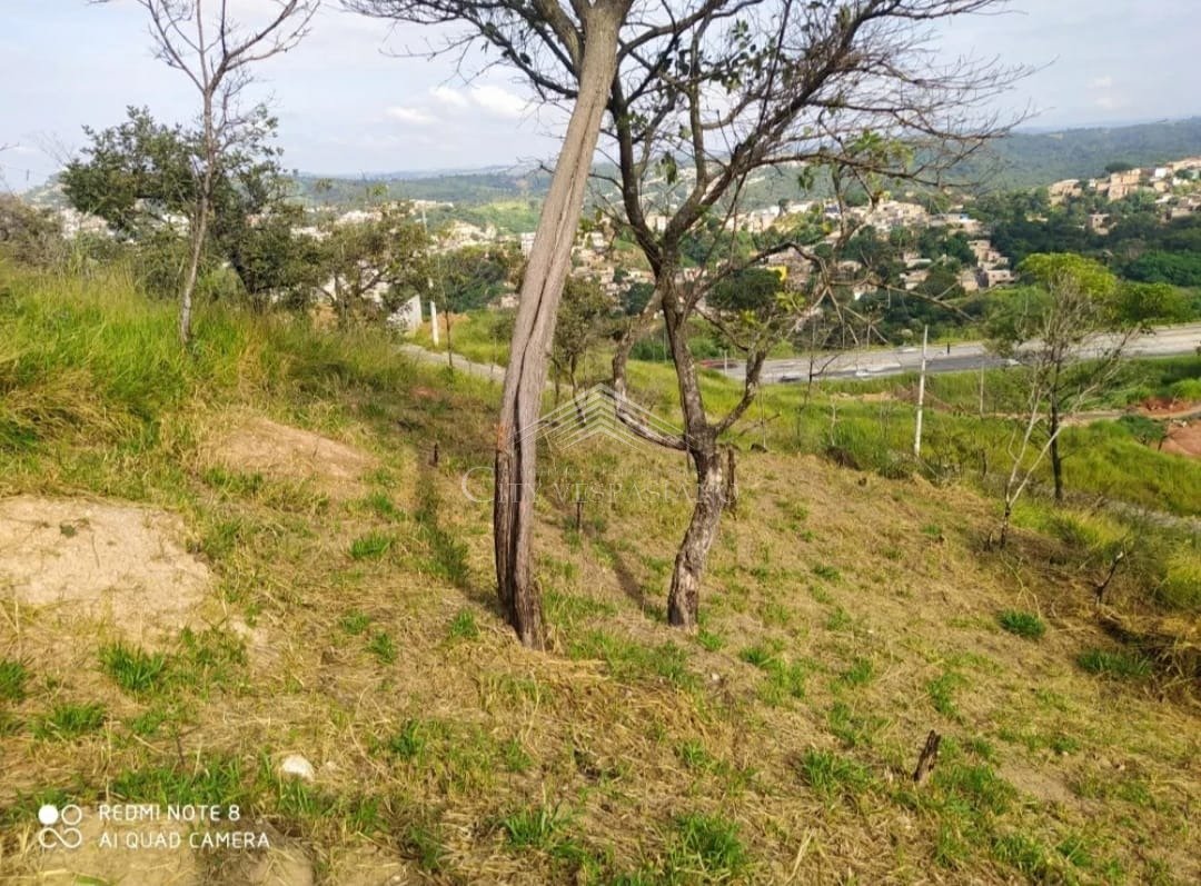 Terreno - São Damião, Vespasiano - código 1329 - foto 3