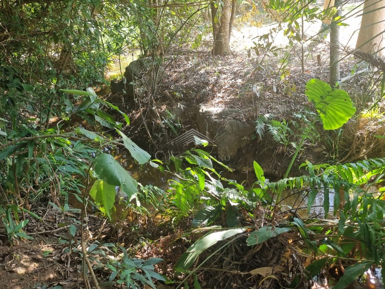 Comercial - 2 quartos - Angicos, Vespasiano - código 1398 - foto 3