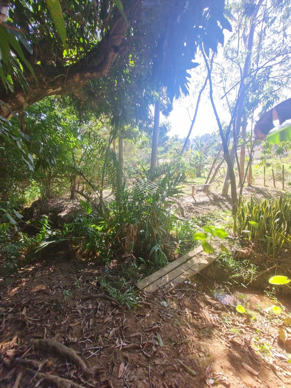 Comercial - 2 quartos - Angicos, Vespasiano - código 1398 - foto 4