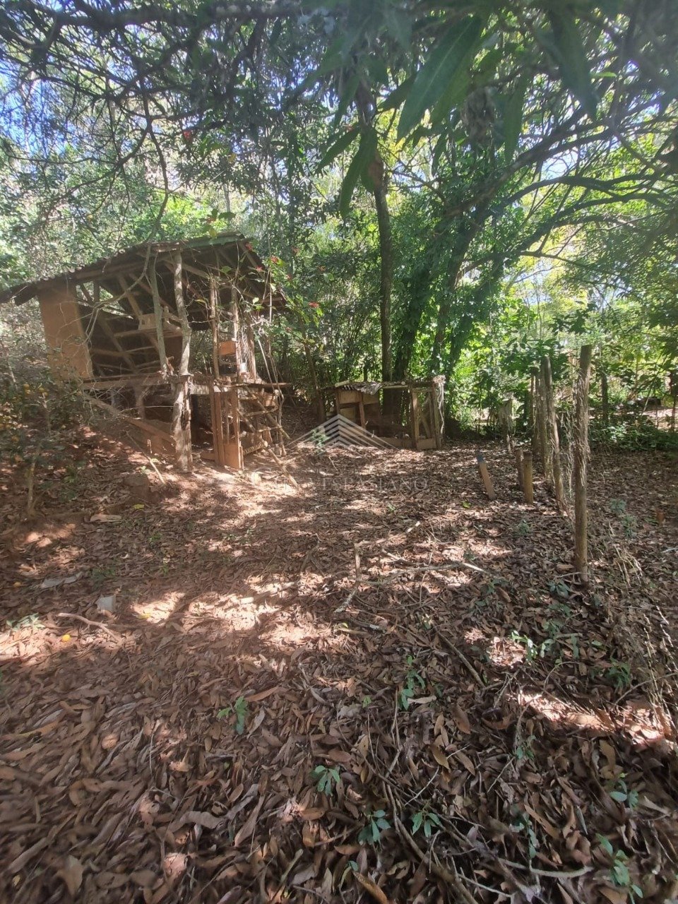 Comercial - 2 quartos - Angicos, Vespasiano - código 1398 - foto 5