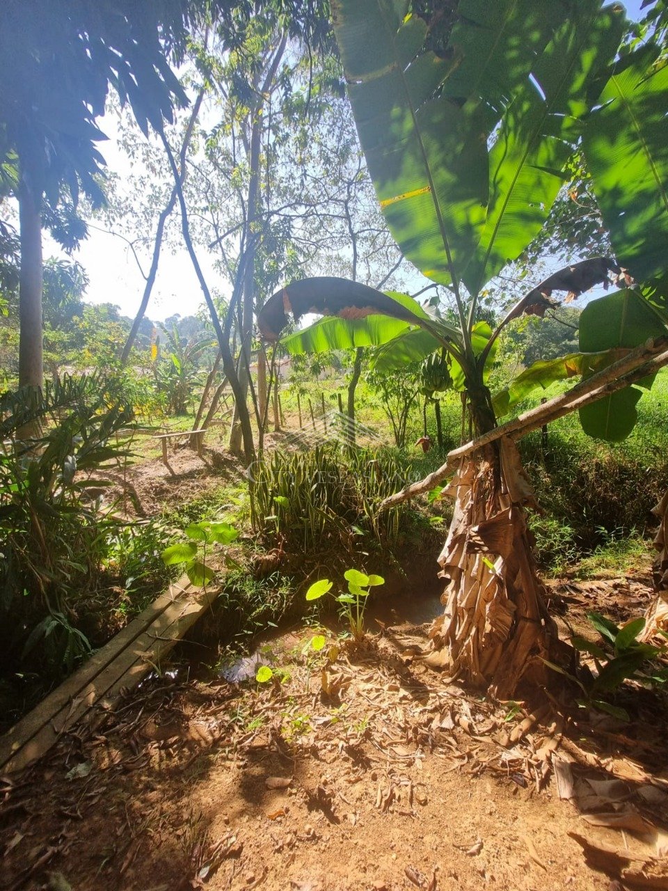 Comercial - 2 quartos - Angicos, Vespasiano - código 1398 - foto 6