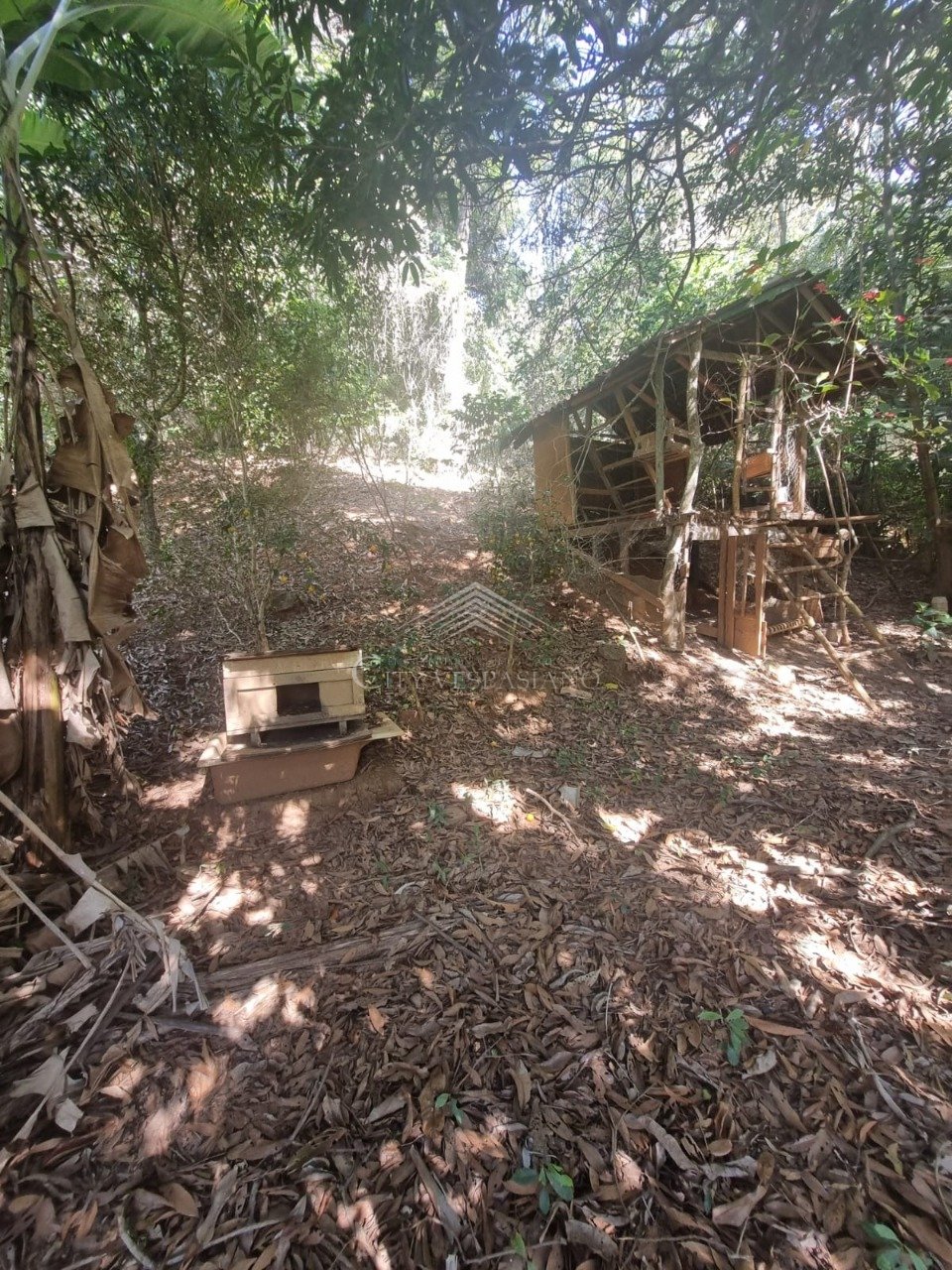 Comercial - 2 quartos - Angicos, Vespasiano - código 1398 - foto 7
