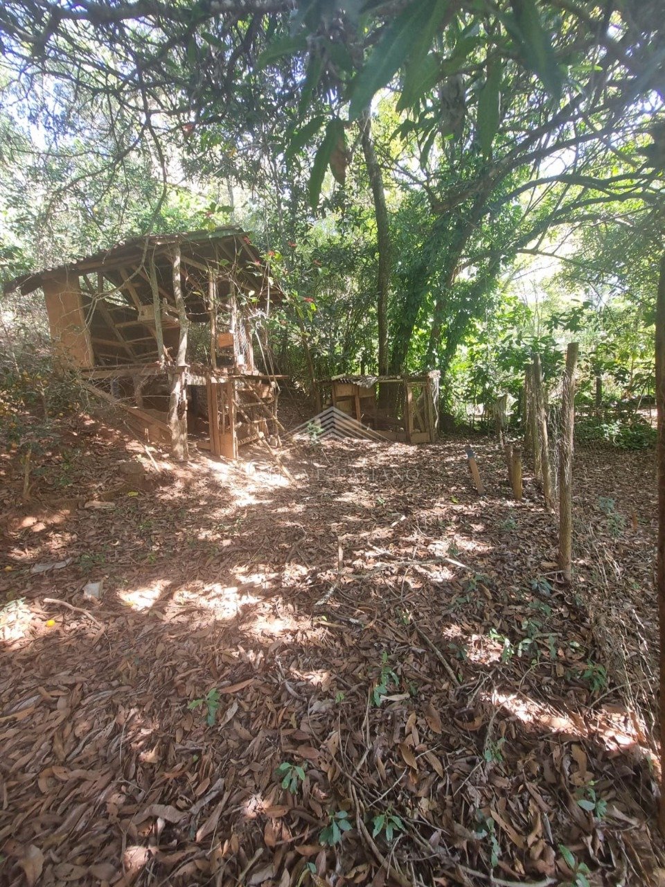 Comercial - 2 quartos - Angicos, Vespasiano - código 1398 - foto 9