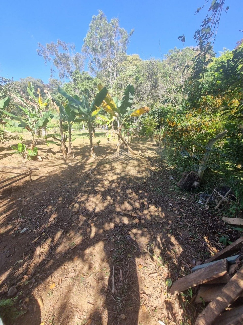 Comercial - 2 quartos - Angicos, Vespasiano - código 1398 - foto 11