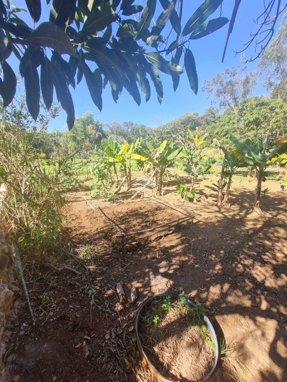 Comercial - 2 quartos - Angicos, Vespasiano - código 1398 - foto 12