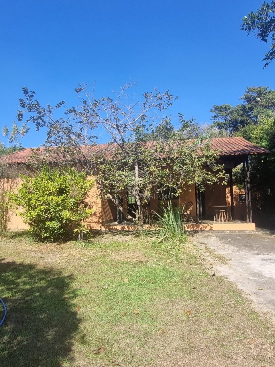 SITIO BAIRRO ANGICOS