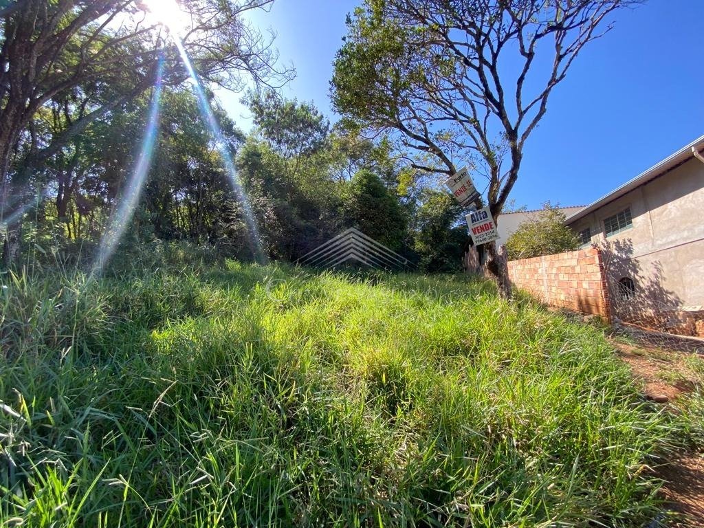 Terreno - Dom Pedro I, São José da Lapa - código 1053 - foto 3