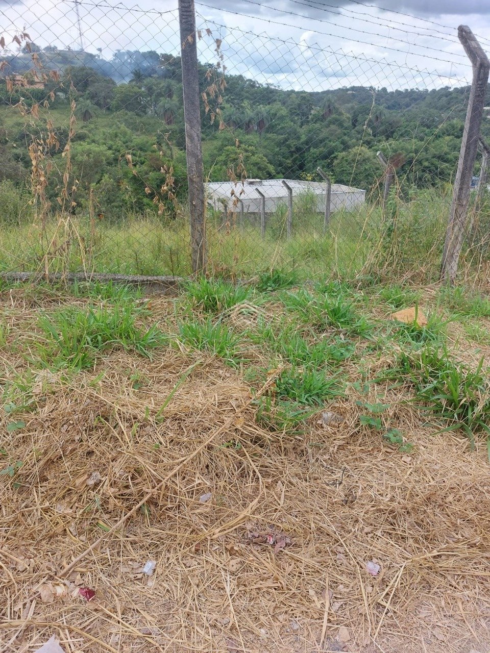 Terreno - Inácia de Carvalho, São José da Lapa - código 1062 - foto 2