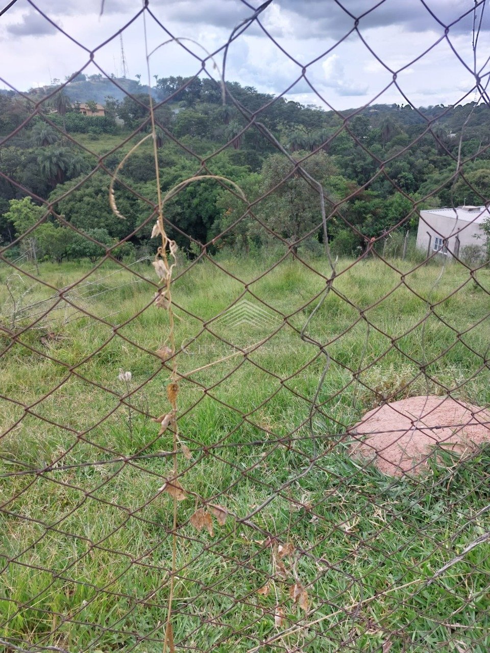 Terreno - Inácia de Carvalho, São José da Lapa - código 1062 - foto 4