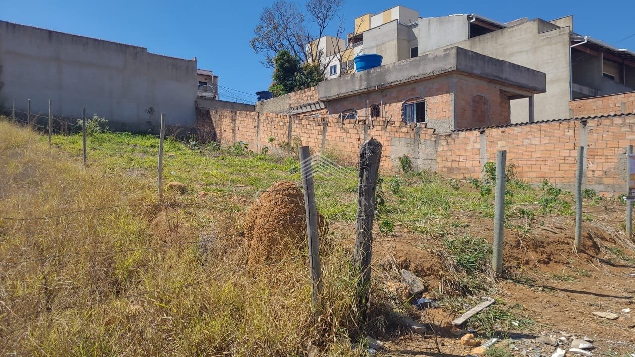 LOTE SERRA DOURADA VESPASIANO