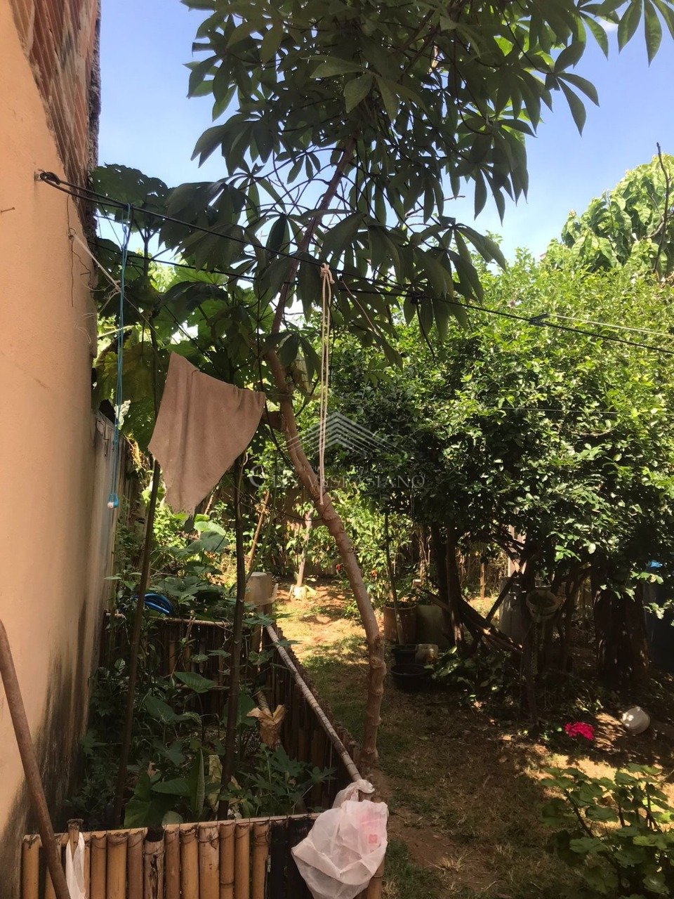 Casa - 3 quartos - Dom Pedro, São José da Lapa - código 1349 - foto 15