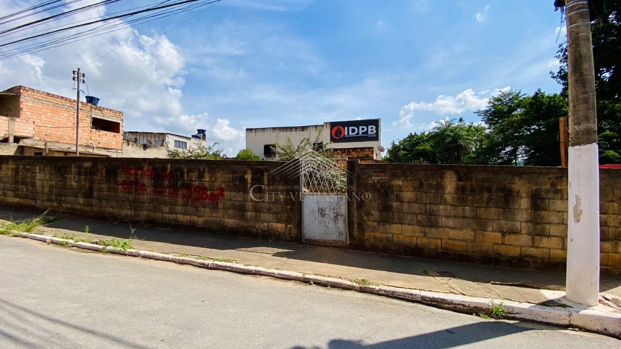 LOTE CÉLVIA VESPASIANO