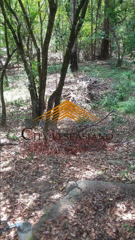 Imóvel - Jardim Paraíso, Vespasiano - código 243 - foto 5