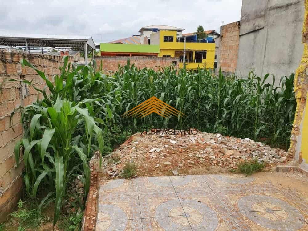 Terreno - 1 quartos - Morro Alto, Vespasiano - código 764 - foto 4