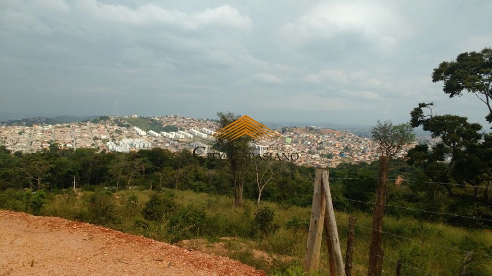 LOTE COND.DOS MILITARES VESPASIANO