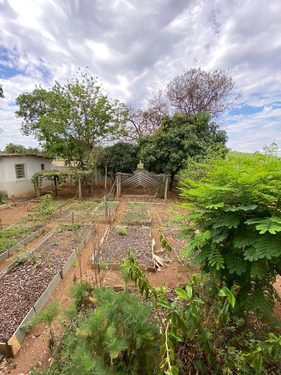Casa em Condomínio - 5 quartos - Condomino Quinta dos Ipes, São José da Lapa - código 1198 - foto 10