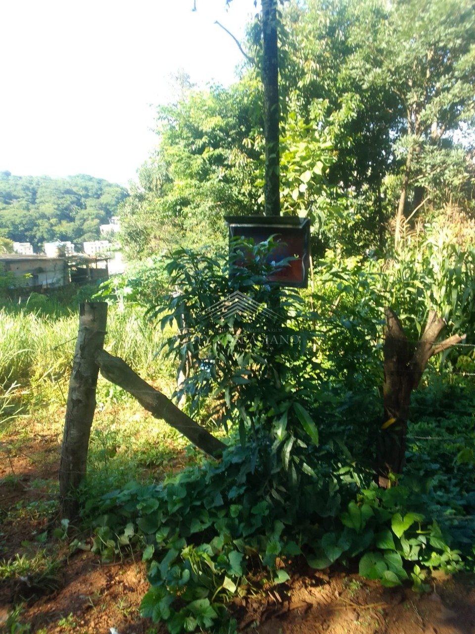 Terreno - Vale Formoso, Vespasiano - código 1005 - foto 4