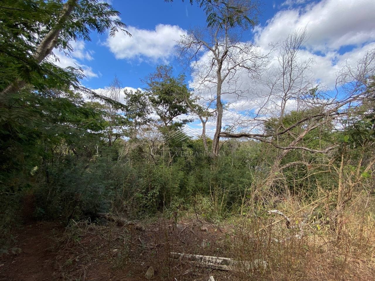 Terreno - Dom Pedro I, São José da Lapa - código 930 - foto 3