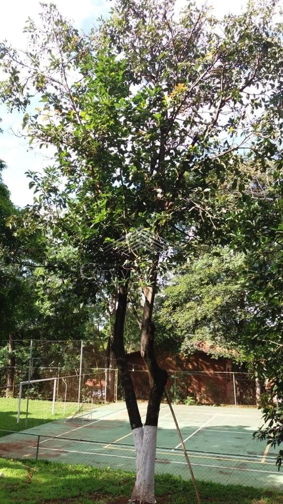 Casa em Condomínio - 3 quartos - condominio quintada dos ipes, São José da Lapa - código 1207 - foto 6