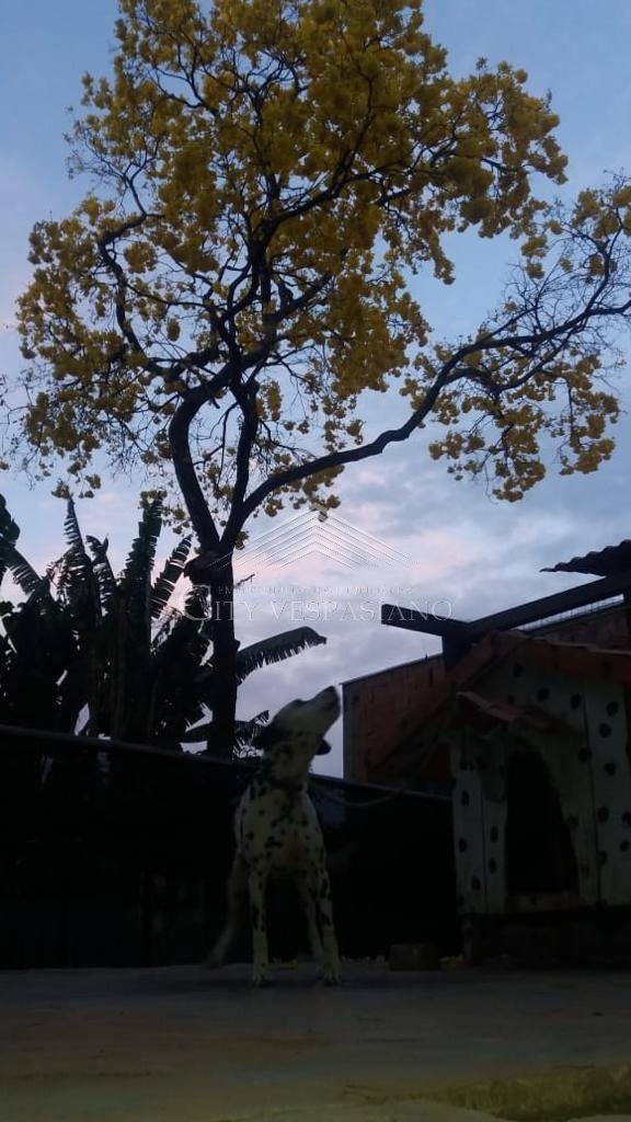 Casa em Condomínio - 3 quartos - condominio quintada dos ipes, São José da Lapa - código 1207 - foto 55